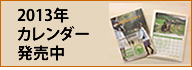 2013年カレンダー