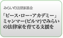 ピースローアカデミー・みらいの法律家学校